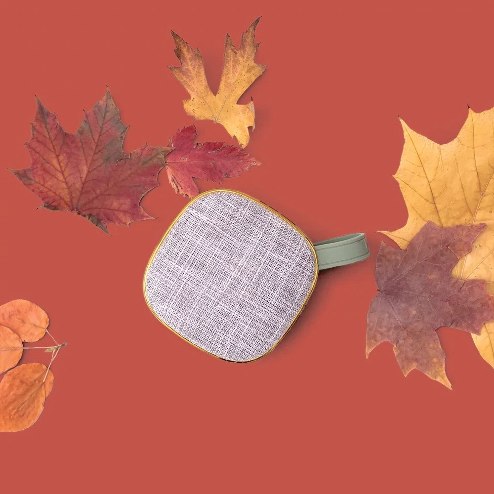 Wanderlust Travel Speaker - The Jilly Box - Fall 2022